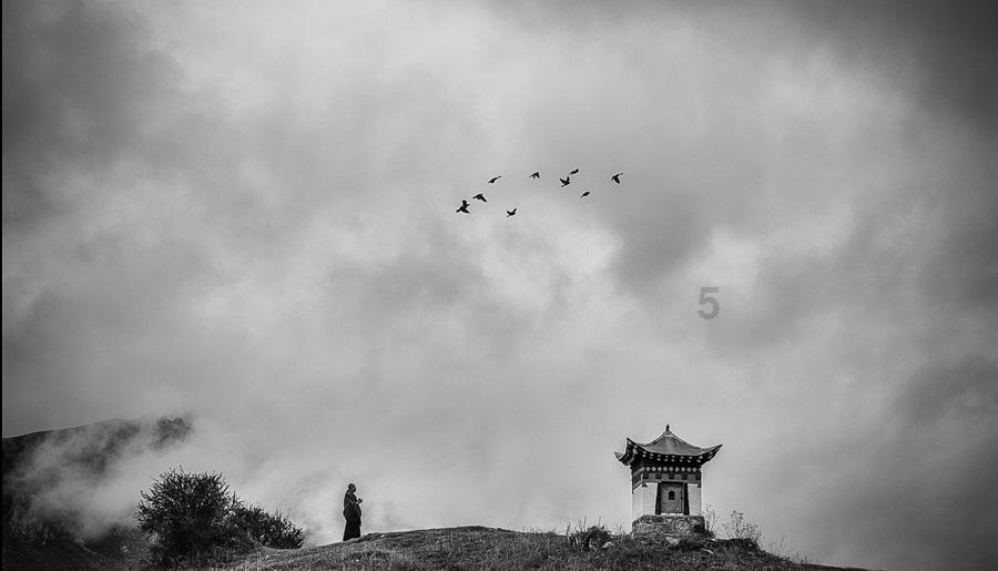 我想买房不知道从何入手游戏画面