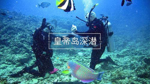 什么时候开始有的春联？游戏画面