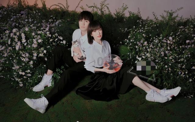 小狗救援行动选关版